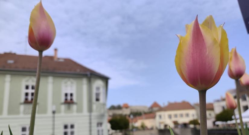 Szerdán semmiképpen ne induljunk el esernyő nélkül otthonról