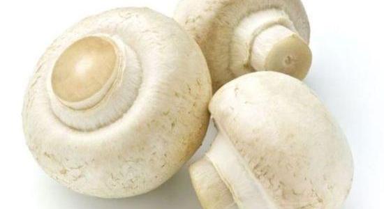 Tavaly is pozitív volt a csiperkegomba külkereskedelmi egyenlege