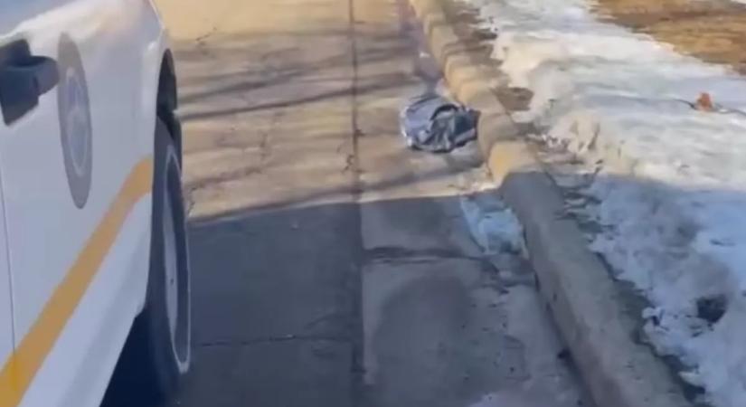 Táskát találtak a rendőrök az út szélén: megszakadt a szívük, amikor belenéztek