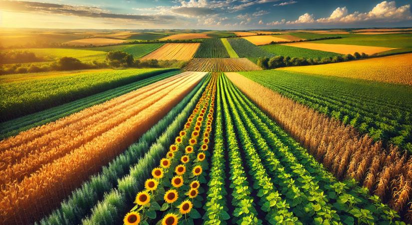 NAK: Indul az egységes kérelmek beadása