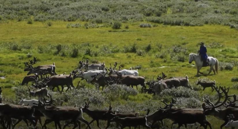 Tavaszi hagyomány zaja szólt a legelőkért és a pásztorokért
