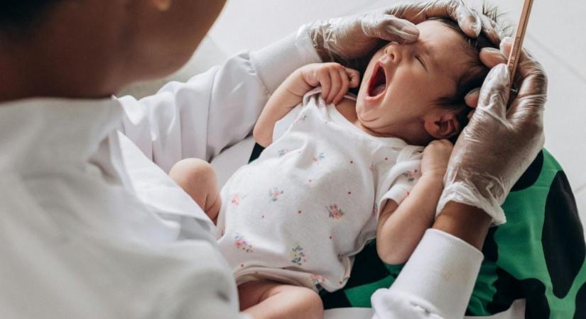 Életveszélyes vérszívó garázdálkodik a magyar kertekben, halálos kórt terjeszt