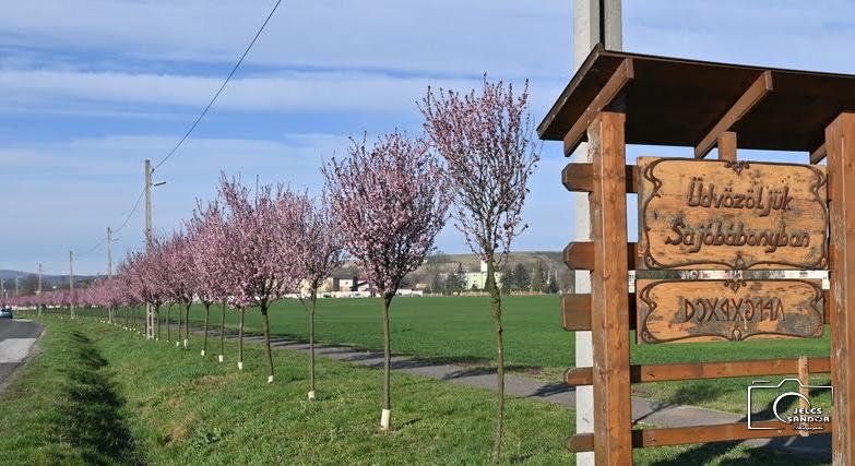 Dráma Sajóbábonyban: éheznek a munkások, 4 hónapja nem kaptak fizetést