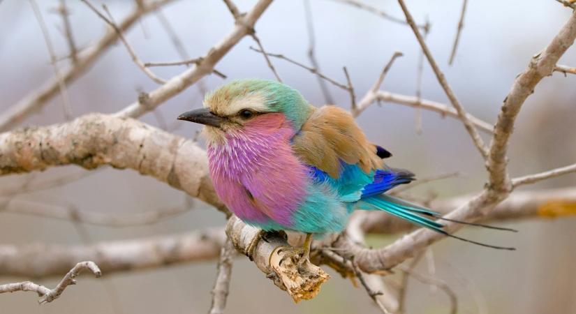 Időjárás 2026. április 15.: A levegő tovább melegszik és a nap is felsüthet