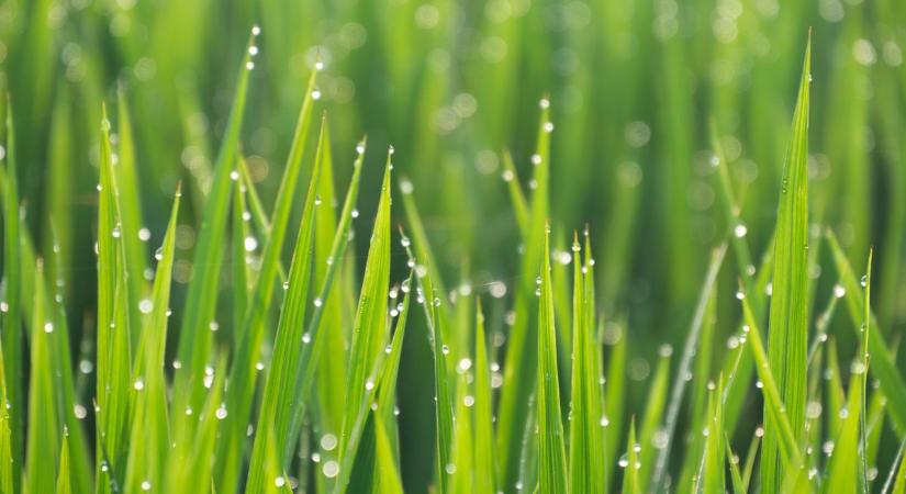 Felhős időnk lesz szerdán, de több órára is kisüthet a nap