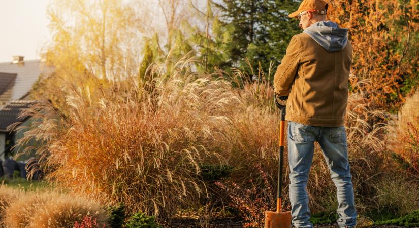 Ezen az eldugott településen él a legendás sztárpár: fákat ültet a Modern Hungária egykori énekese