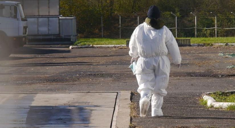 Vége a gazdák rettegésének, óriási bejelentést tett a Nébih