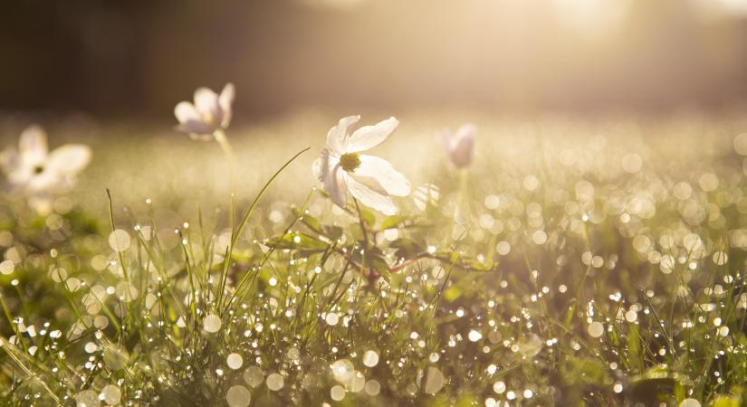 Felszakadozó felhőzet, enyhe idő és elszórt záporok várhatók