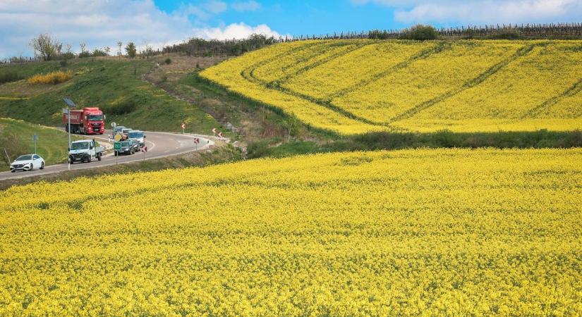 Nem jött a várva várt tavaszi eső – szárazság sújtja Hevest