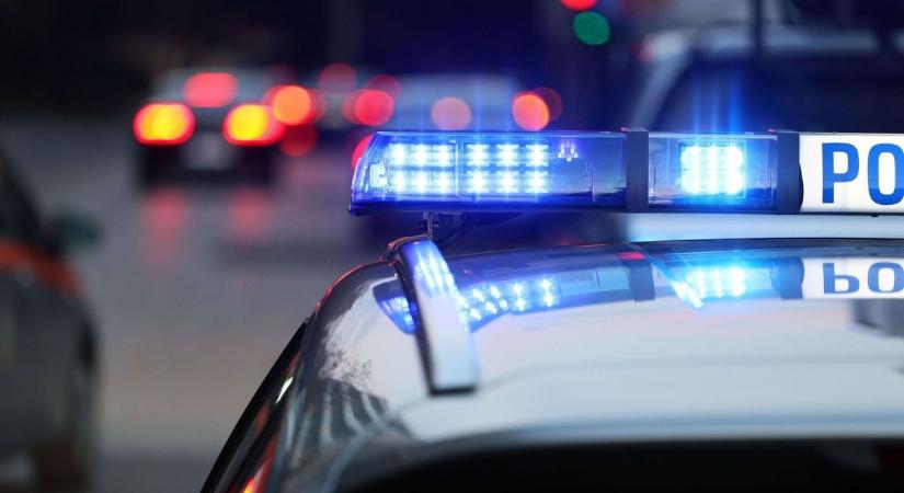 Kamerán nézték, mi történik az esztergomi strandon, azonnal rohantak a rendőrök