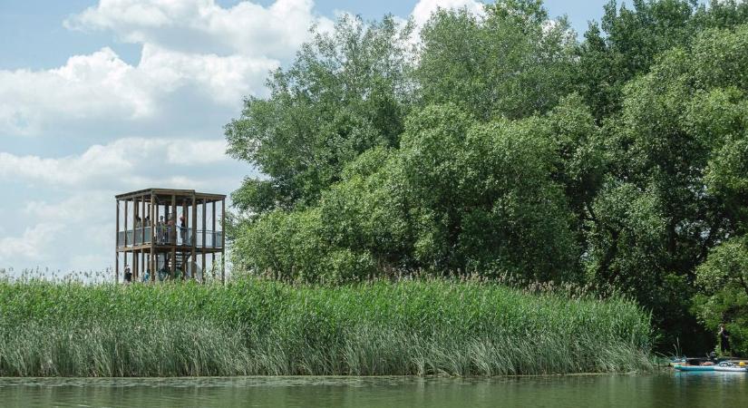 Elképesztő mennyiségű halat telepítenek most a Tisza-tóba – videóval