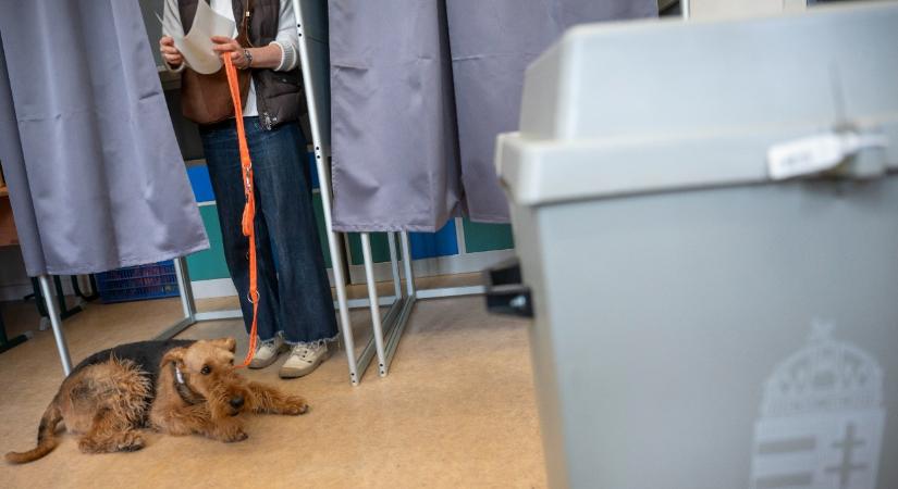 Közvélemény-kutatók: a fiatalok magas részvétele lehetett a döntő