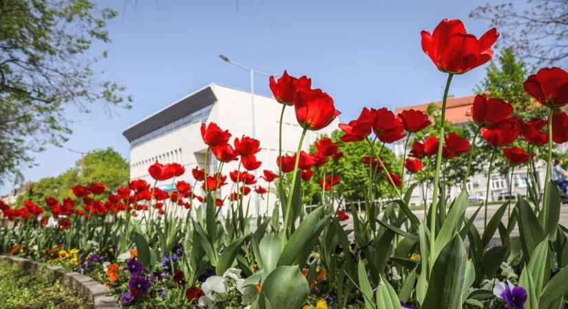 Szuper hétvége jön, várjuk ki, nincs már messze