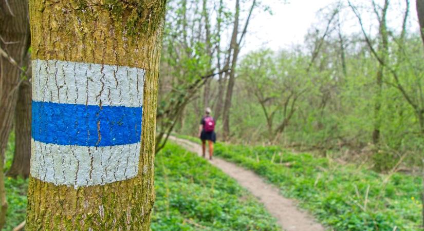 Közös túrára hívnak Szegeden: 10 kilométeres Föld napi gyalogtúra indul