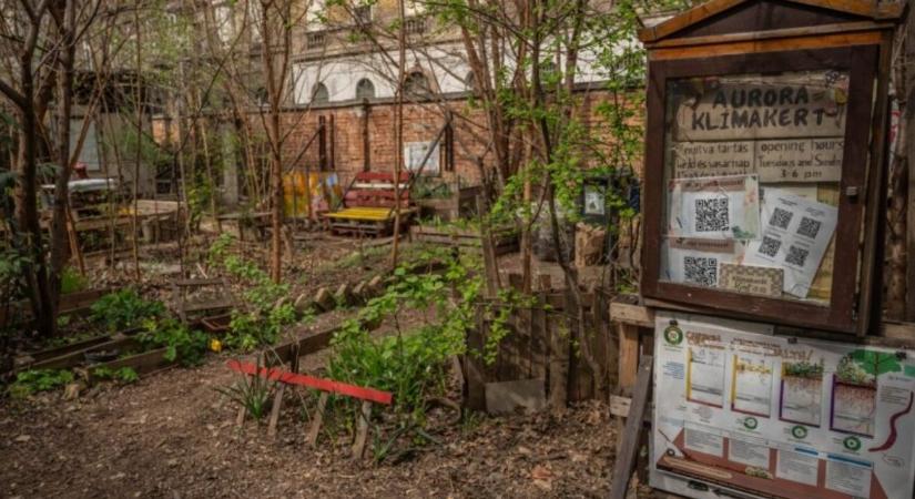 Ahol szabadon dolgozik a természet – az Auróra Klímakertben jártunk