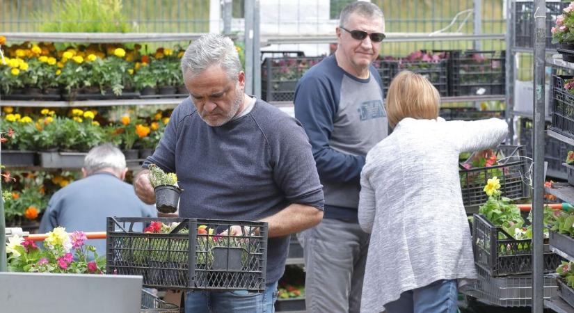 Áprilisi kertindítás: mit érdemes vetni most, hogy bőséges legyen a nyári termés?