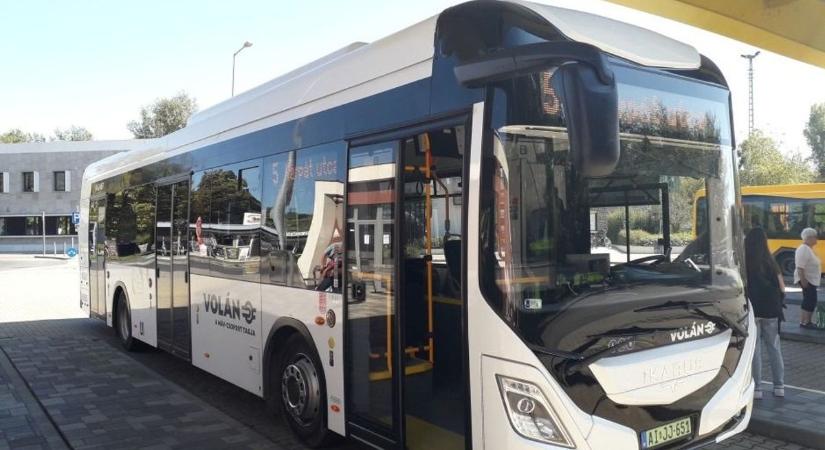 Ez betalált! A zöld busz mindent visz, és az utasok is szeretik Zalában