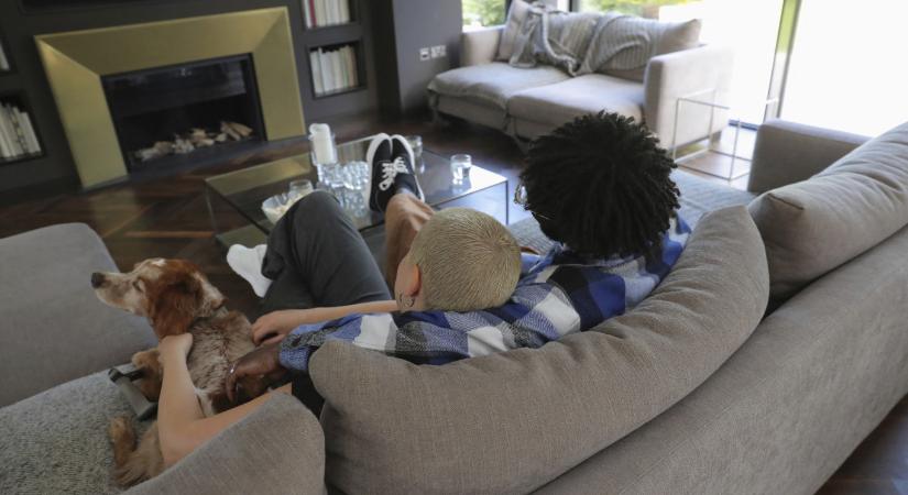 Tudományos áttörés: A kutya se kíváncsi a tévéreklámokra