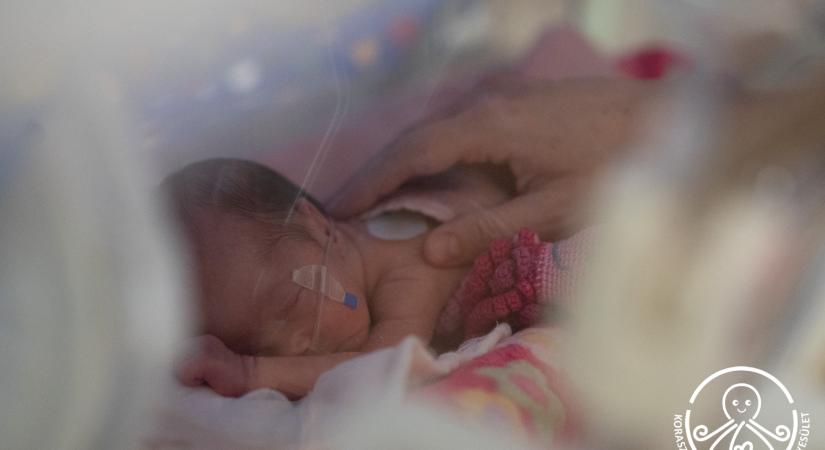 Ösztöndíjjal támogat közegészségügyi dolgozókat a Koraszülöttekért Országos Egyesület