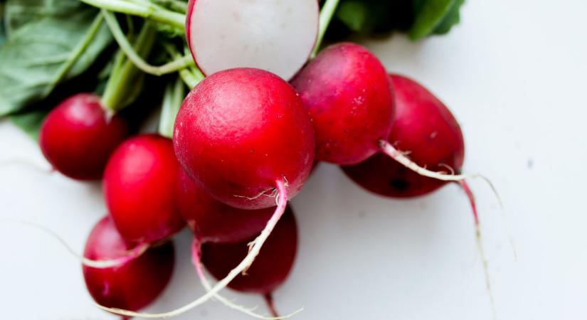 Retek vetése tavasszal: mikor érdemes elkezdeni a gyors termésért?