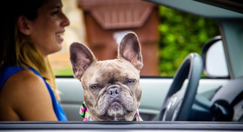 Ez a 3 autó az, amit a szerelők szerint 200 ezer kilométer felett is érdemes megvenni
