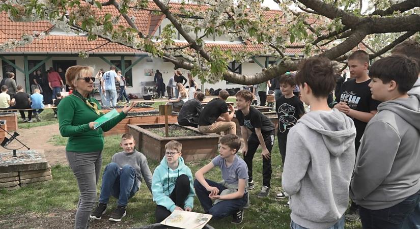 Együtt nőnek diákok és növények a Gönczy Pál Általános Iskolában