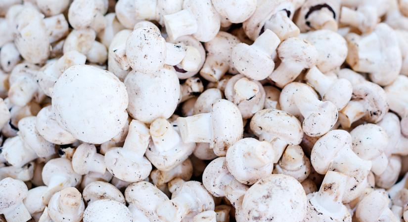 Igazi aranybánya ez a magyar élelmiszer: milliárdokat hoz a konyhára