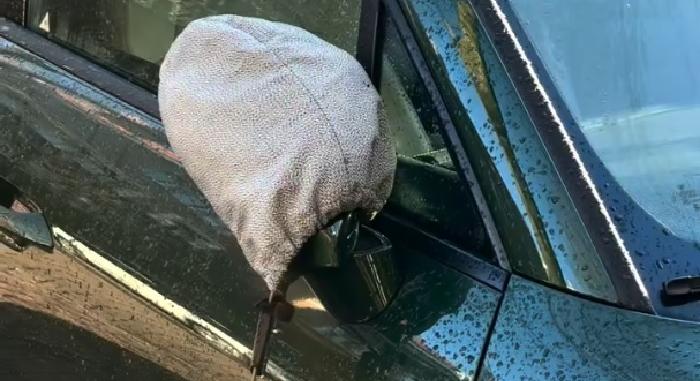 Egyre többen húznak zsákot a visszapillantóra, szomorú az oka