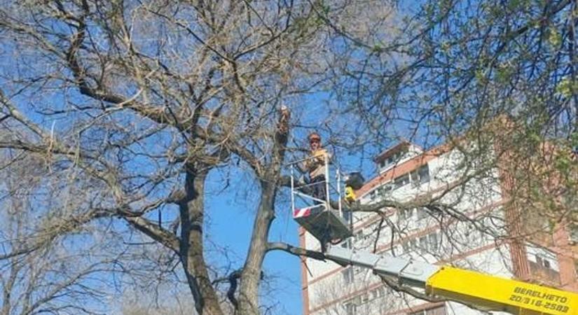 Ne parkoljon ide pénteken Miskolcon!