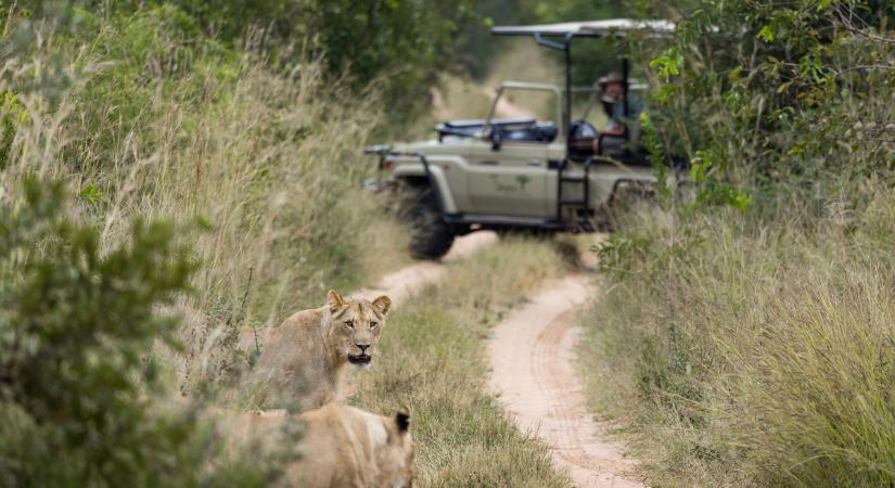 Csendes luxus a Zambézin: új irányt mutat a szafariélményekben egy zimbabwei sziget
