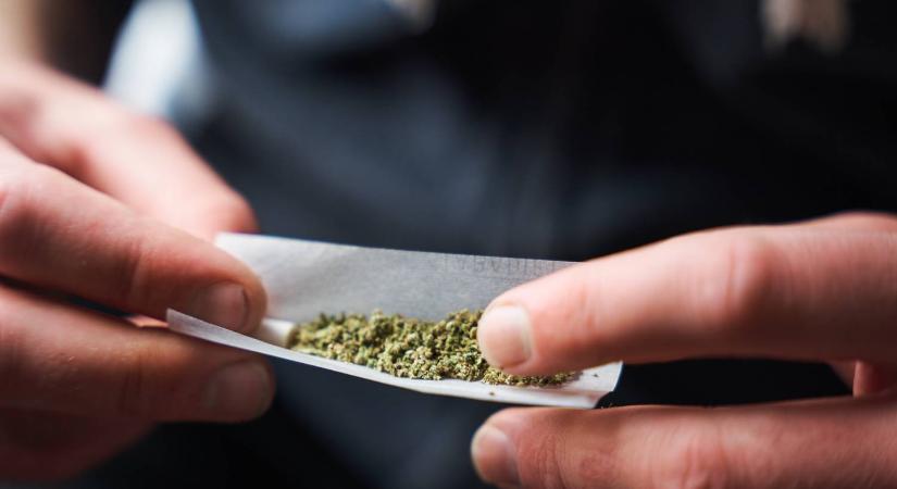 Sokkoló kutatás látott napvilágot, ilyen hatással lehet az agyra a kannabiszfogyasztás