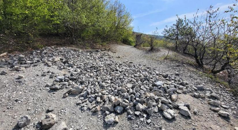 Vannak esetek, amikor elfogynak a szavak – szétdúlták, majd tüzet raktak a felsőtárkányi zarándokhely romjain a vandálok
