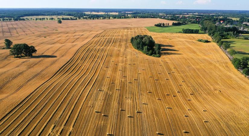 Illetékcsapda: így válhat a 0 forintból 8 százalékos büntetés földvásárláskor