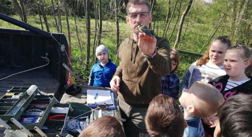 Ingyenes, ritka élmény Zalában - visszatér a népszerű program