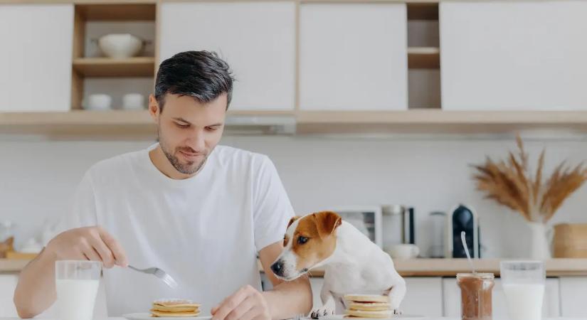 A kutyusok szívéhez is úgy vezet az út, mint a férfiakéhoz