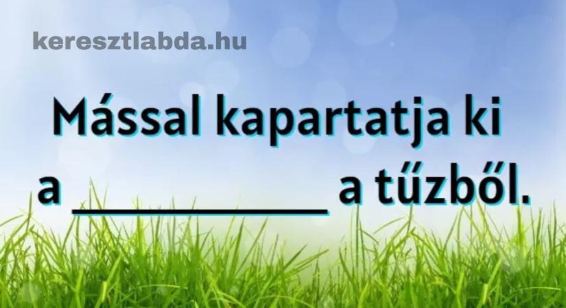Napi közmondás feladat: Mit kapartat ki mással a tűzből? Sokan nem emlékeznek pontosan