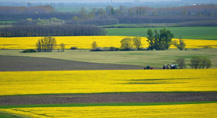 Elindult az egységes kérelmek benyújtása