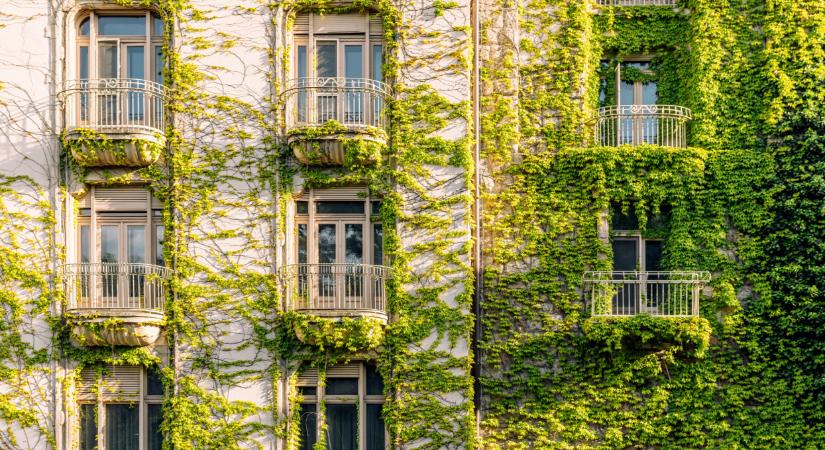 Rengeteg magyar háztulaj sétál önként a csapdába: milliókat bukhatnak haláleset, válás után egyetlen mulasztás miatt