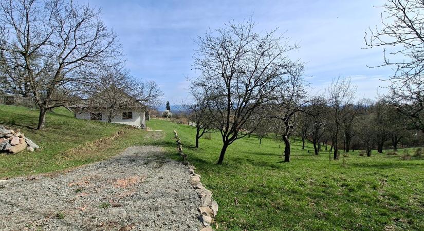 Lemaradál róla? Semmi baj, szeptember újra nyílik a népszerű pályázat