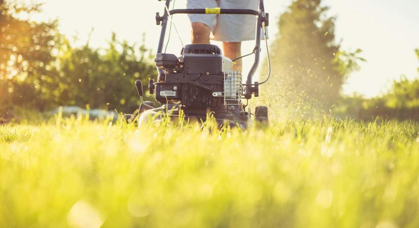 Élő fű vagy műfű?