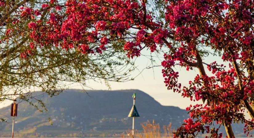 A hét legvégéig marad a meleg tavasz