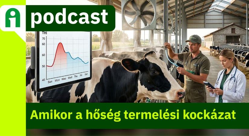 Agroinform Podcast: Állati teljesítmény nyáron – hogyan védekezzünk a hőstressz ellen?