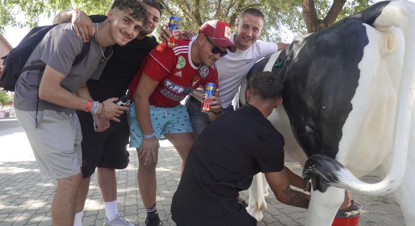 Mozgalmas kulturális éve lesz Hosszúpályinak