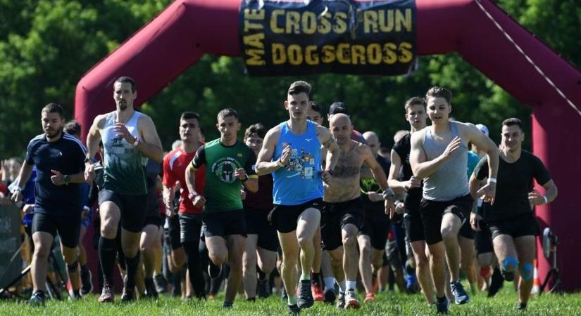 Ha jelentkezel, tuti egy sárgombóc leszel a végére, de még élvezni is fogod