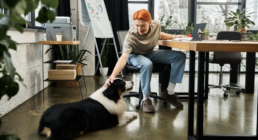 Hogyan lesz a fenntarthatóságból versenyelőny?