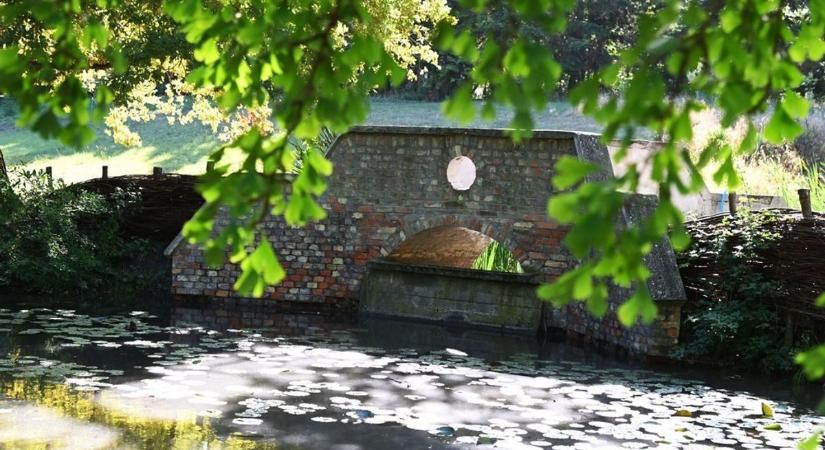 Nagyon ritka látvány csábít az arborétumba, mindenki látni akarja