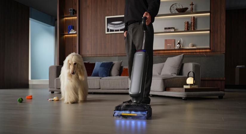 Akár 700-szor több baktérium is lehet a padlón egy kutyás lakásban