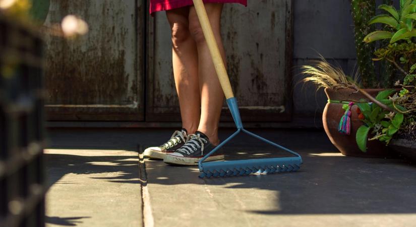 Hangyák a teraszon? Házi praktikák vegyszerek nélkül a gyors eltávolításhoz