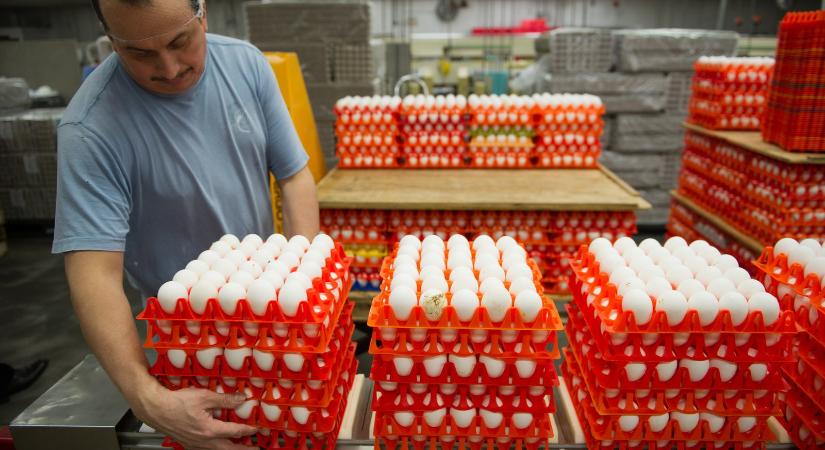 Kellemetlen meglepetés érte a nőt, aki csak néhány tojást akart vásárolni a boltban