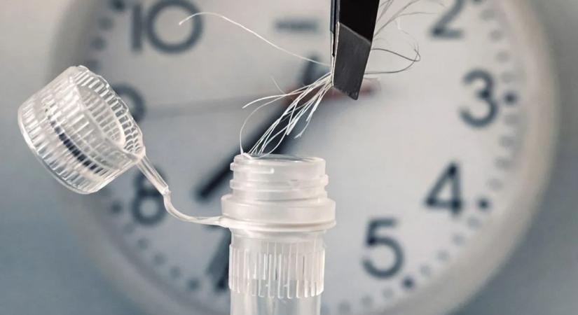 Ön is veszélyben van? Félelmetes dolgot mutattak ki egy hajszálból